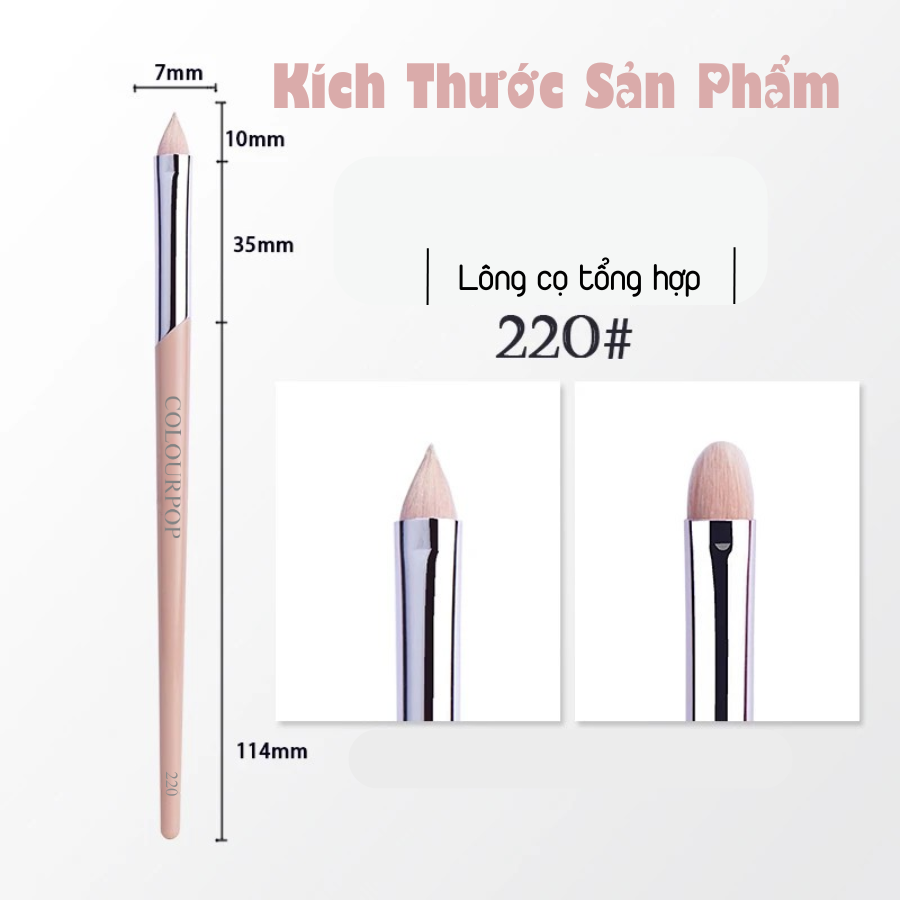 Cọ Viền Môi Và Che Khuyết Điểm COLOURPOP Lip Liner Brush C220